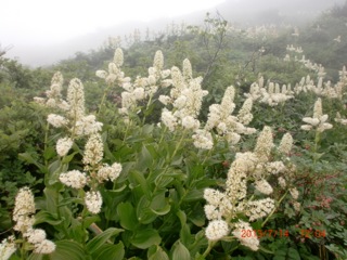 c0151898_20283612.jpg
