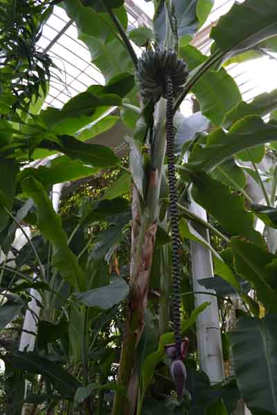 f0188600_1981699.jpg