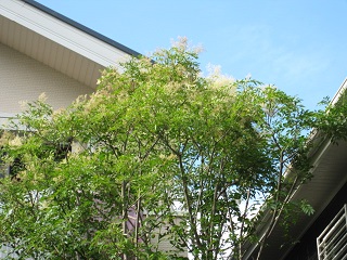 c0152002_19291483.jpg