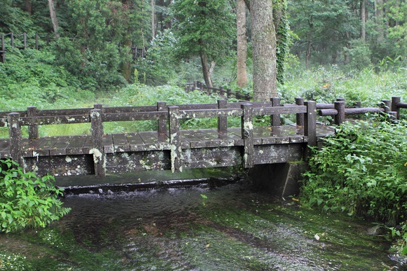 f0034602_20372387.jpg