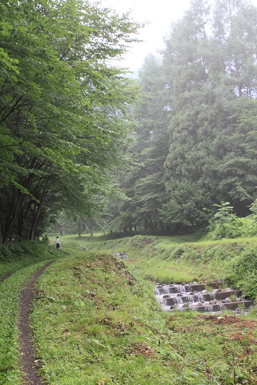 f0034602_20382250.jpg