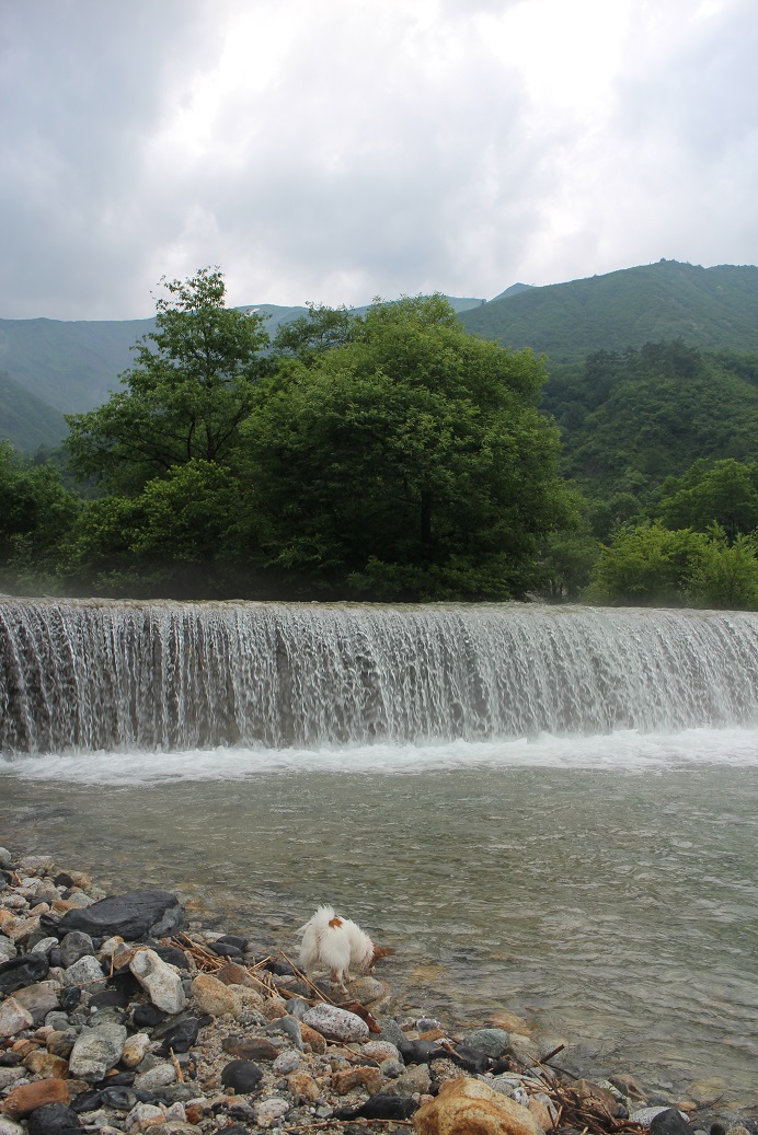 f0034602_20461811.jpg