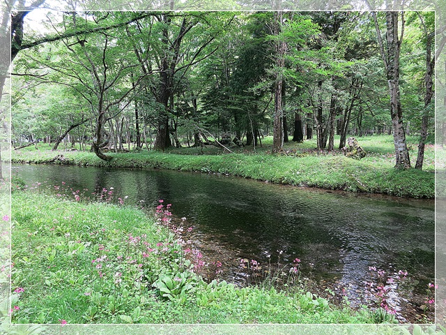 d0028304_13173479.jpg