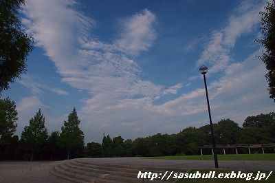 e0145805_1723853.jpg