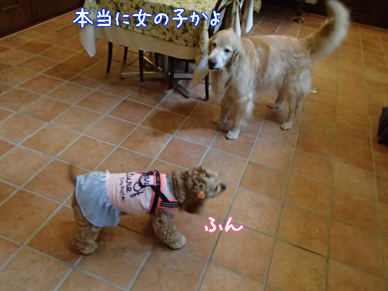 f0064906_16303599.jpg