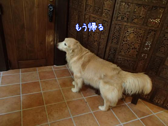f0064906_16312819.jpg