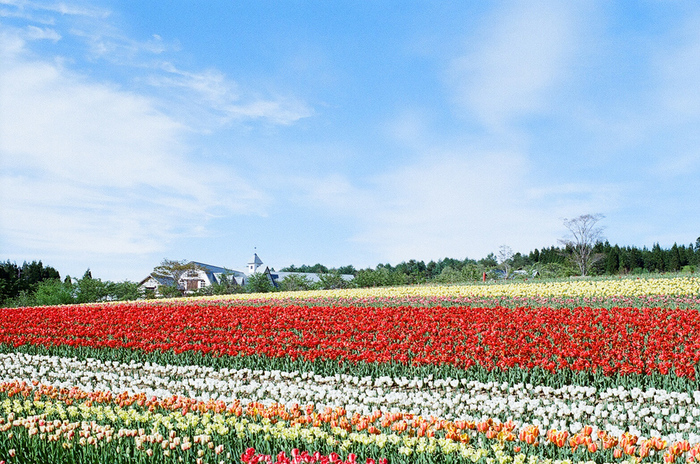 a0220311_22142352.jpg
