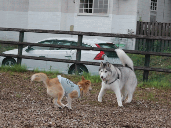 b0207615_2310297.gif