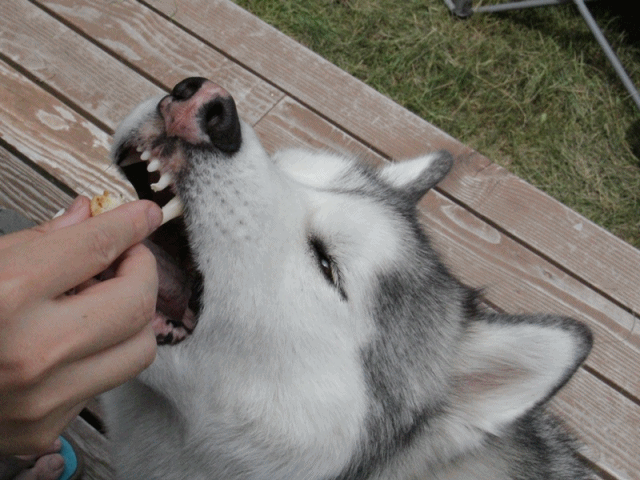 b0207615_23135389.gif