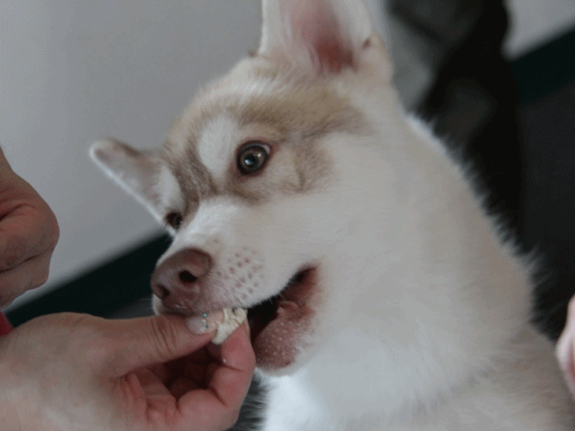 b0207615_23135517.gif