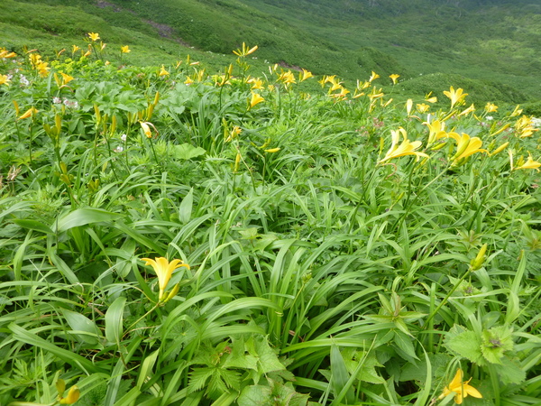 d0170615_2354015.jpg