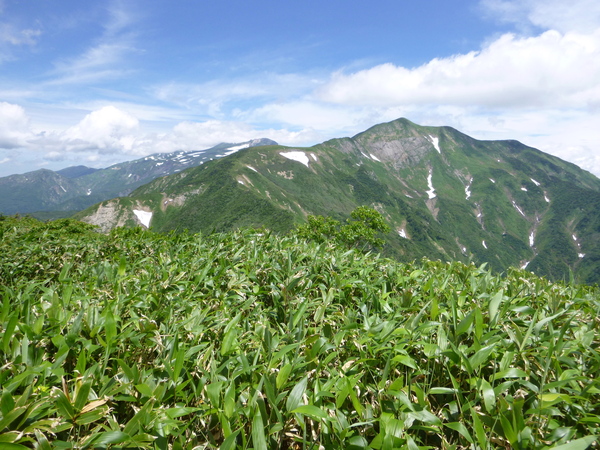 d0170615_23563177.jpg