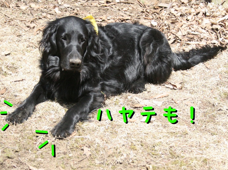 c0237824_1051443.jpg