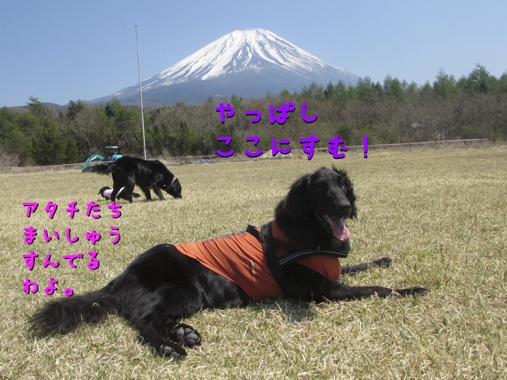 c0237824_12215611.jpg