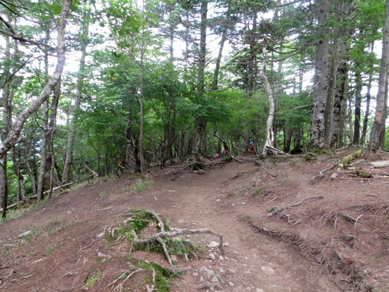 f0040525_2062361.jpg