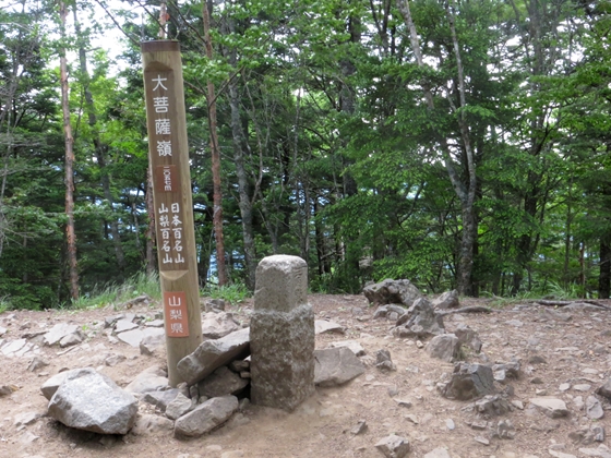 f0040525_2062985.jpg