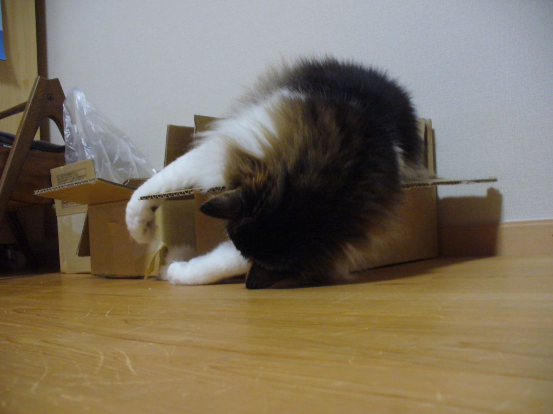 f0275632_2201066.jpg