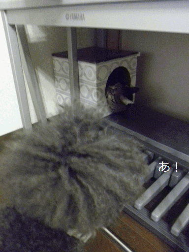 c0136736_16201390.gif