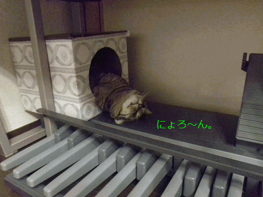 c0136736_16211310.gif