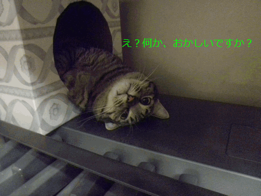 c0136736_16214437.gif
