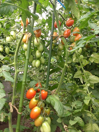 a0034438_14455928.jpg