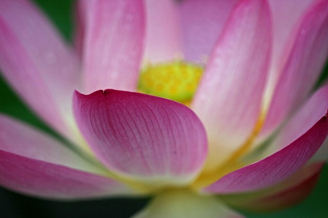 a0242438_1915020.jpg