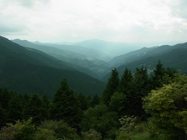 a0143839_23142036.jpg
