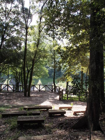 b0199742_21522996.jpg