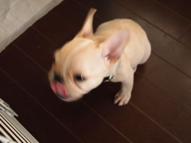 d0319745_13122415.jpg