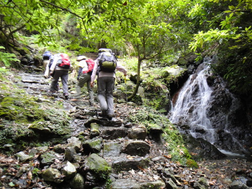 c0179351_22291466.jpg
