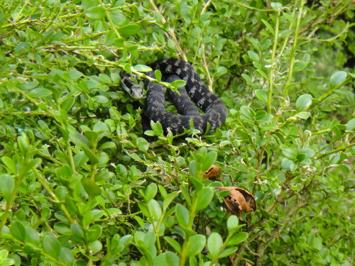 c0179351_22334785.jpg