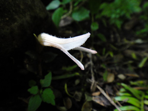 c0179351_22461173.jpg