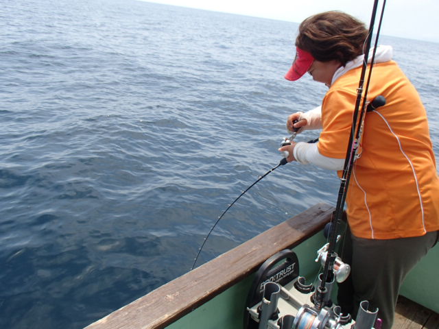 a0248152_1732410.jpg