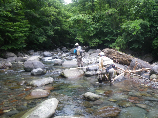 b0211960_203521100.jpg