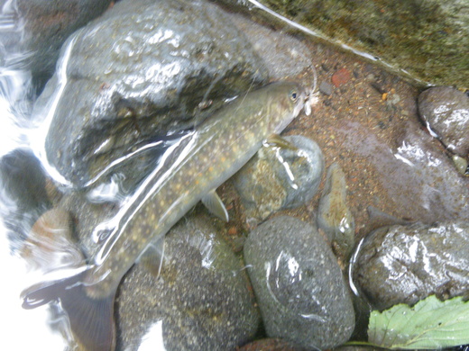b0211960_203622.jpg