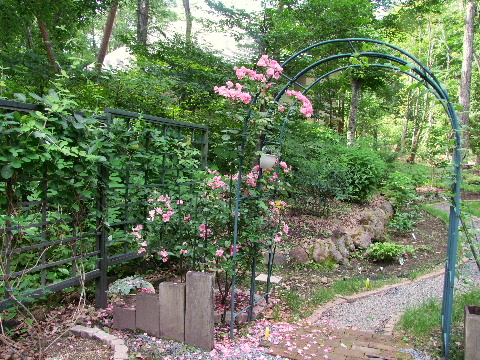 e0088260_11512373.jpg