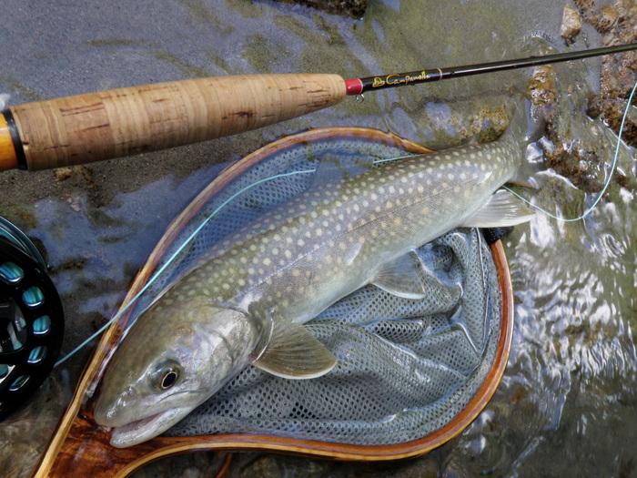 b0120066_11231125.jpg