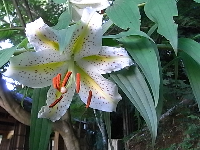 a0146070_13351744.jpg
