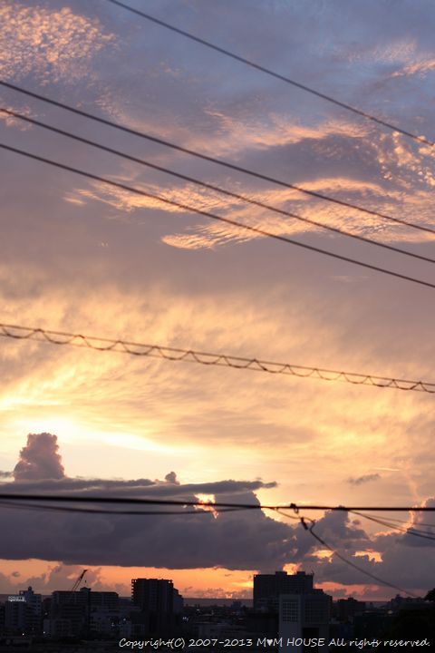 c0139375_13155423.jpg