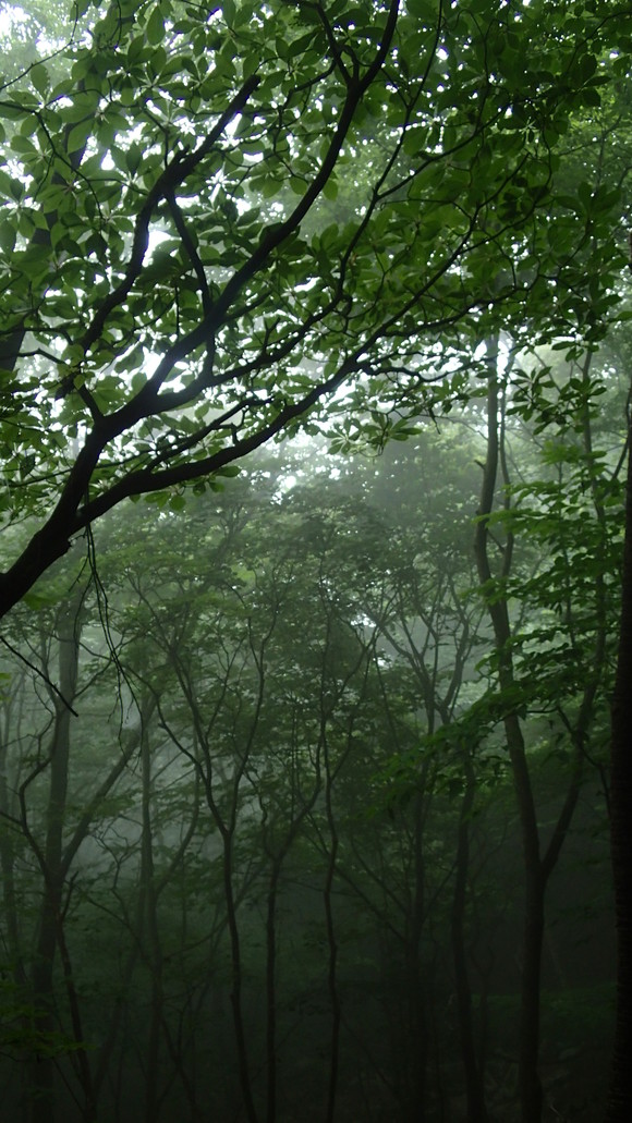 e0024081_2146769.jpg