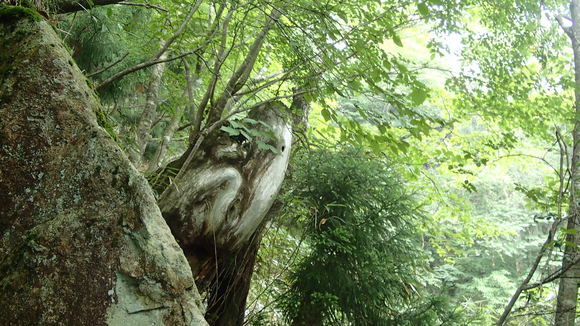 e0024081_21485159.jpg