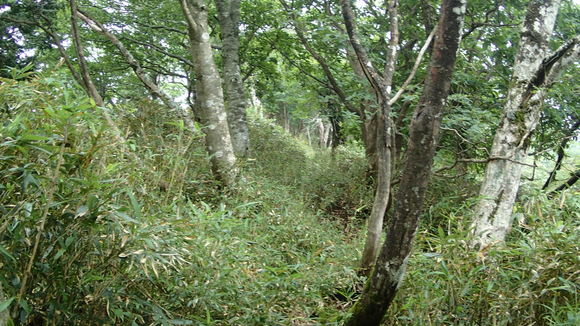 e0024081_21593852.jpg