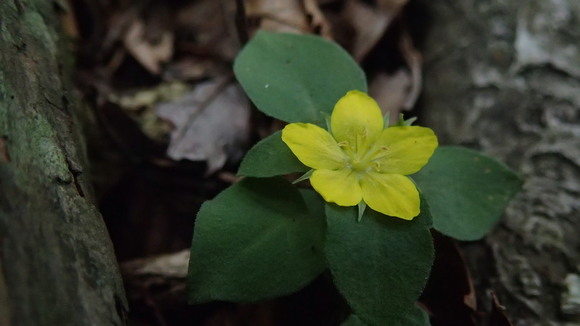 e0024081_220514.jpg