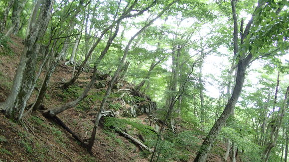 e0024081_2235760.jpg