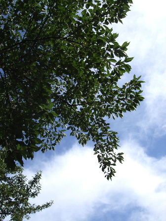 f0039281_1143846.jpg