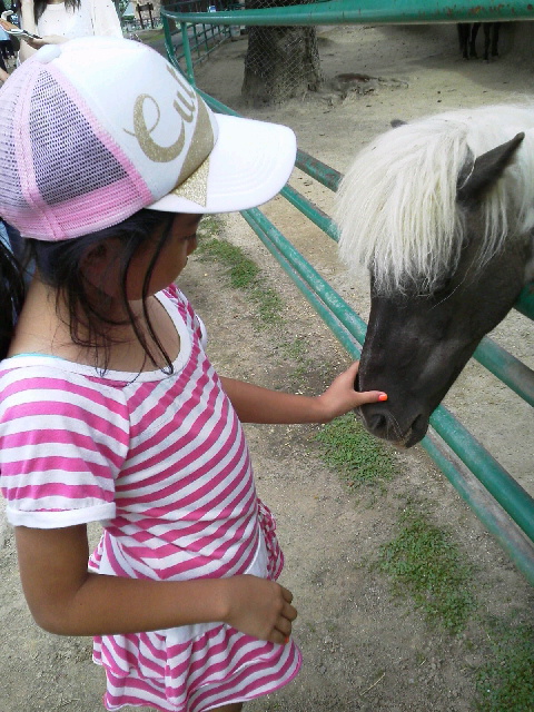 c0096582_12534041.jpg