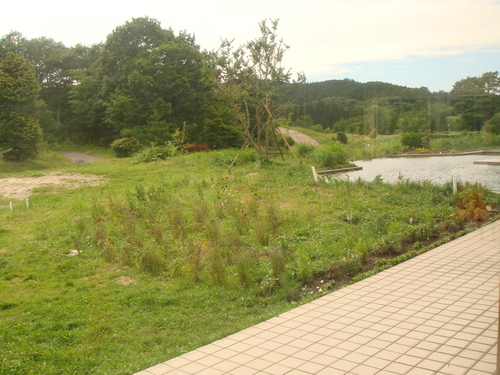 d0219283_11543020.jpg