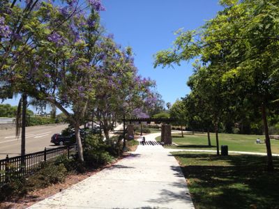 f0068883_1762568.jpg