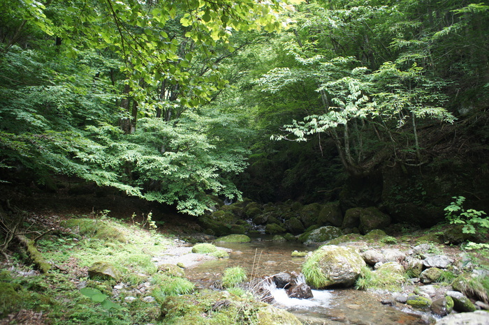 c0136486_1119386.jpg
