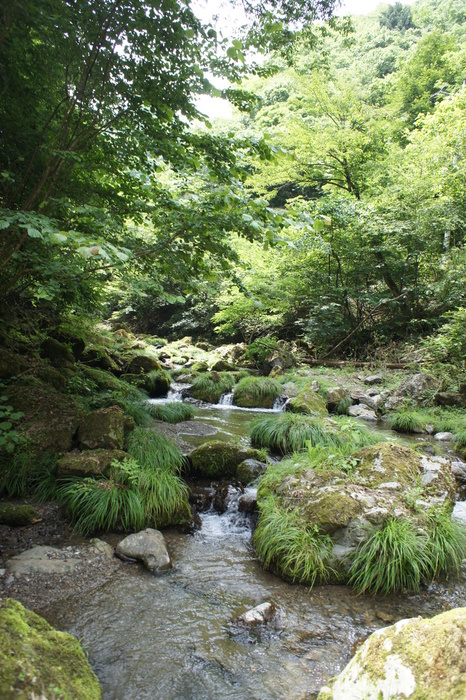 c0136486_112662.jpg